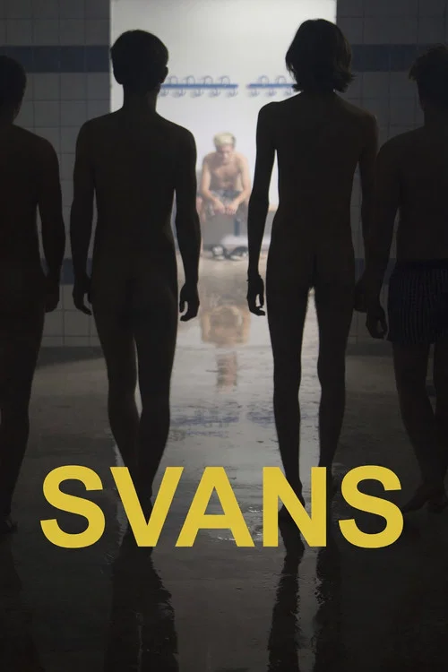 Swans