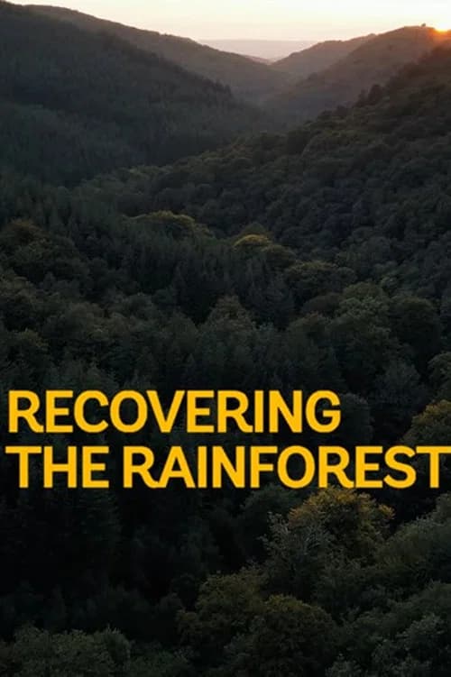 Recovering the Rainforest