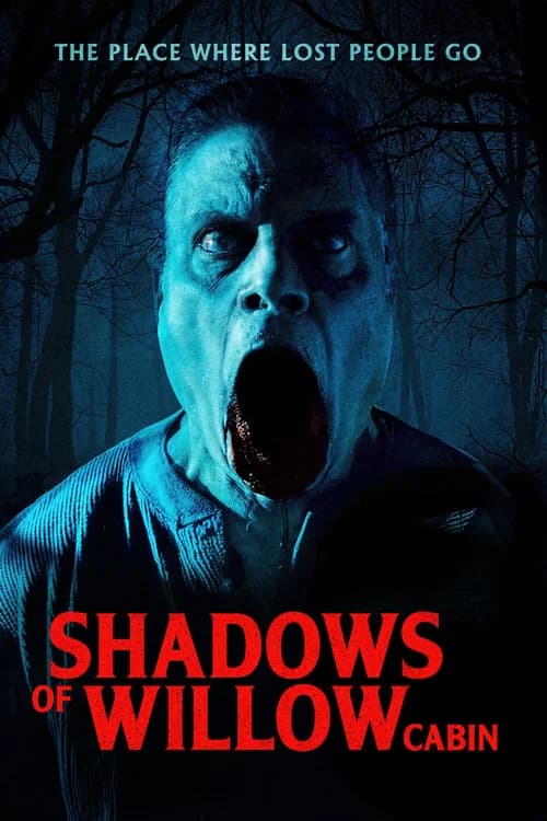 Shadows of Willow Cabin
