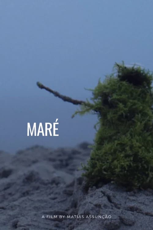 Maré