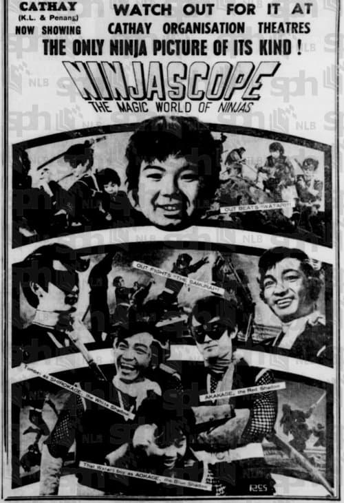 Ninjascope: The Magic World of Ninjas