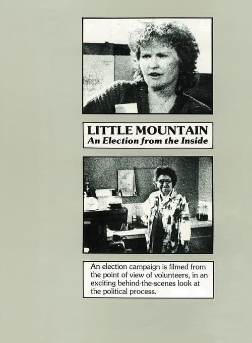 Little Mountain: An Election from the Inside