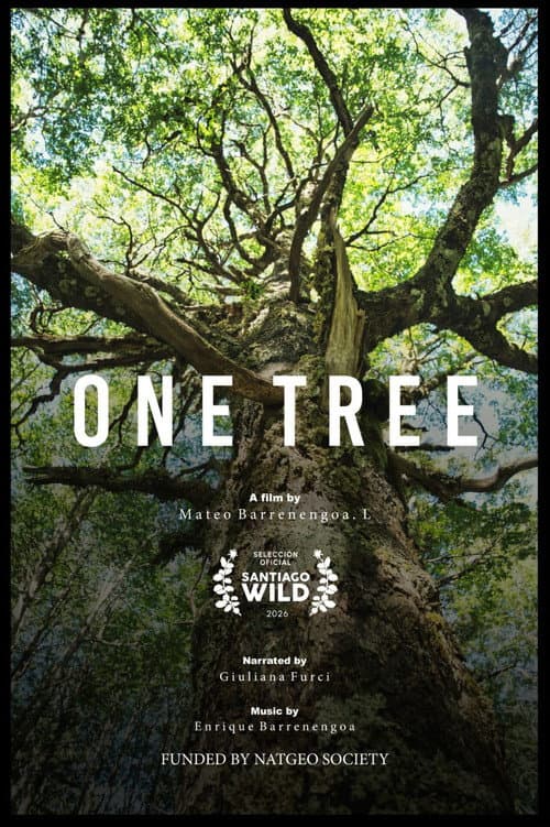 Un Árbol