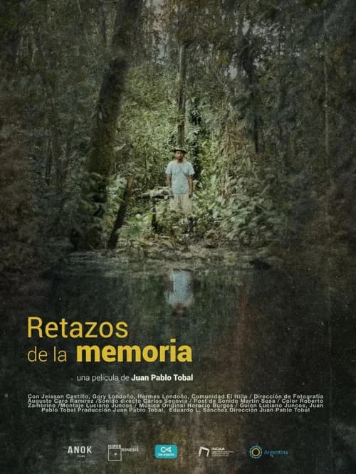 Remnants of memory