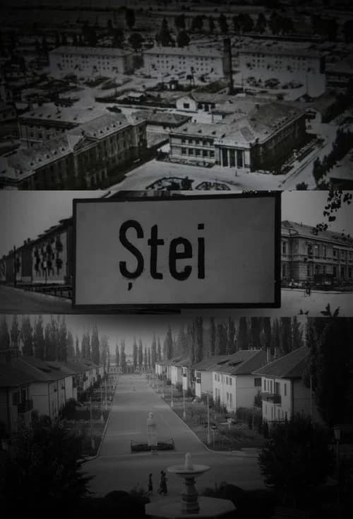 Ștei