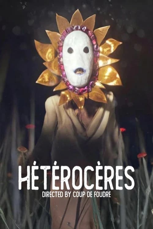 Moths