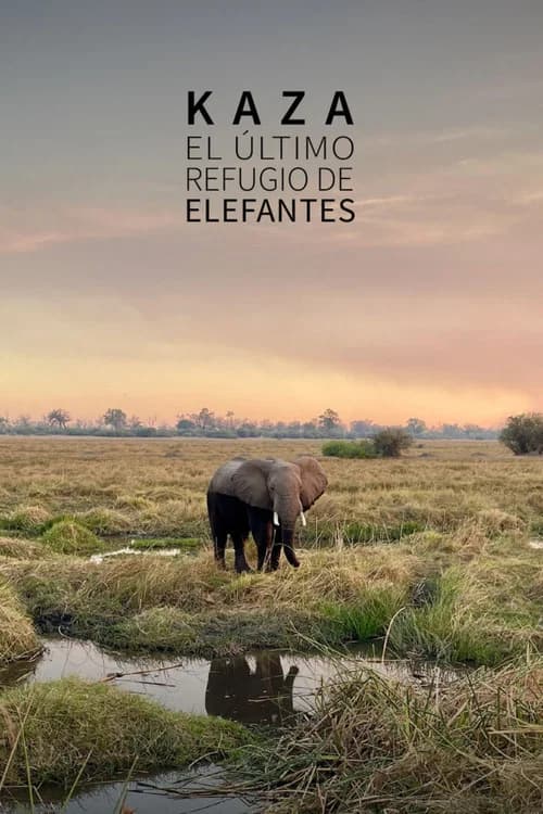 Kaza: The Last Refuge of Elephants
