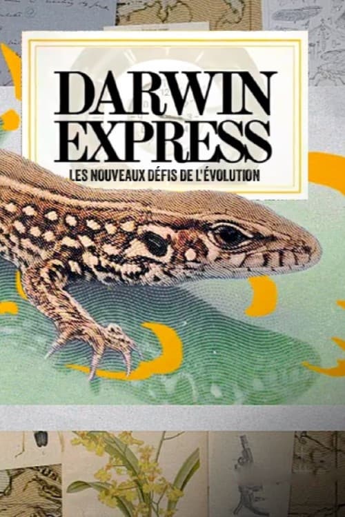 Darwin express - Les nouveaux défis de l'évolution