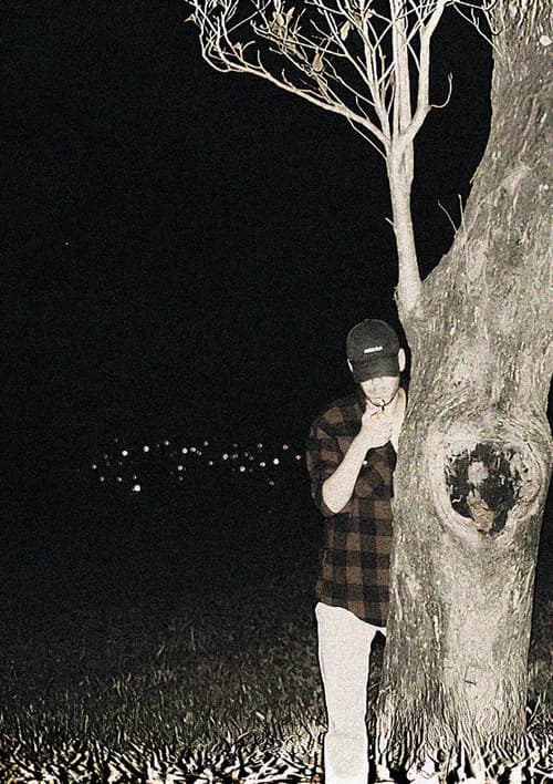 Predação Noturna