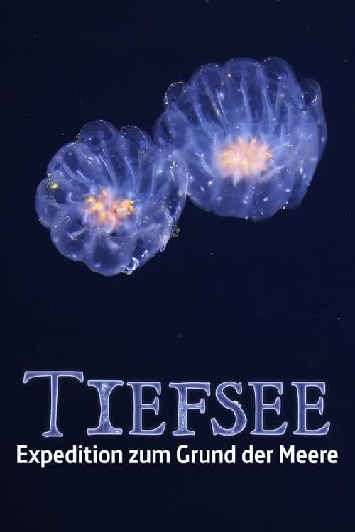 Faszination Tiefsee - Expedition zum Grund der Meere