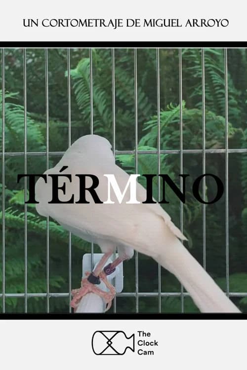 Term