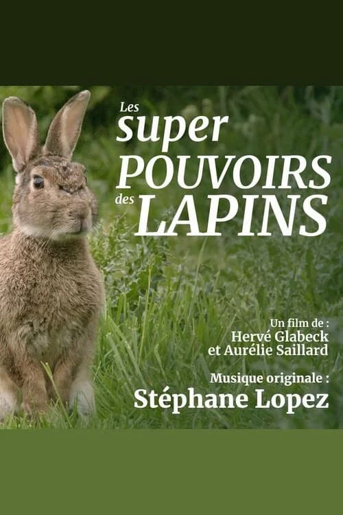Les super pouvoirs du lapin