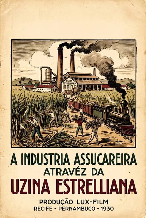 A Indústria Assucareira Através da Uzina Estrelliana