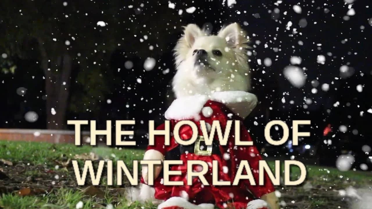 The Howl of Winterland