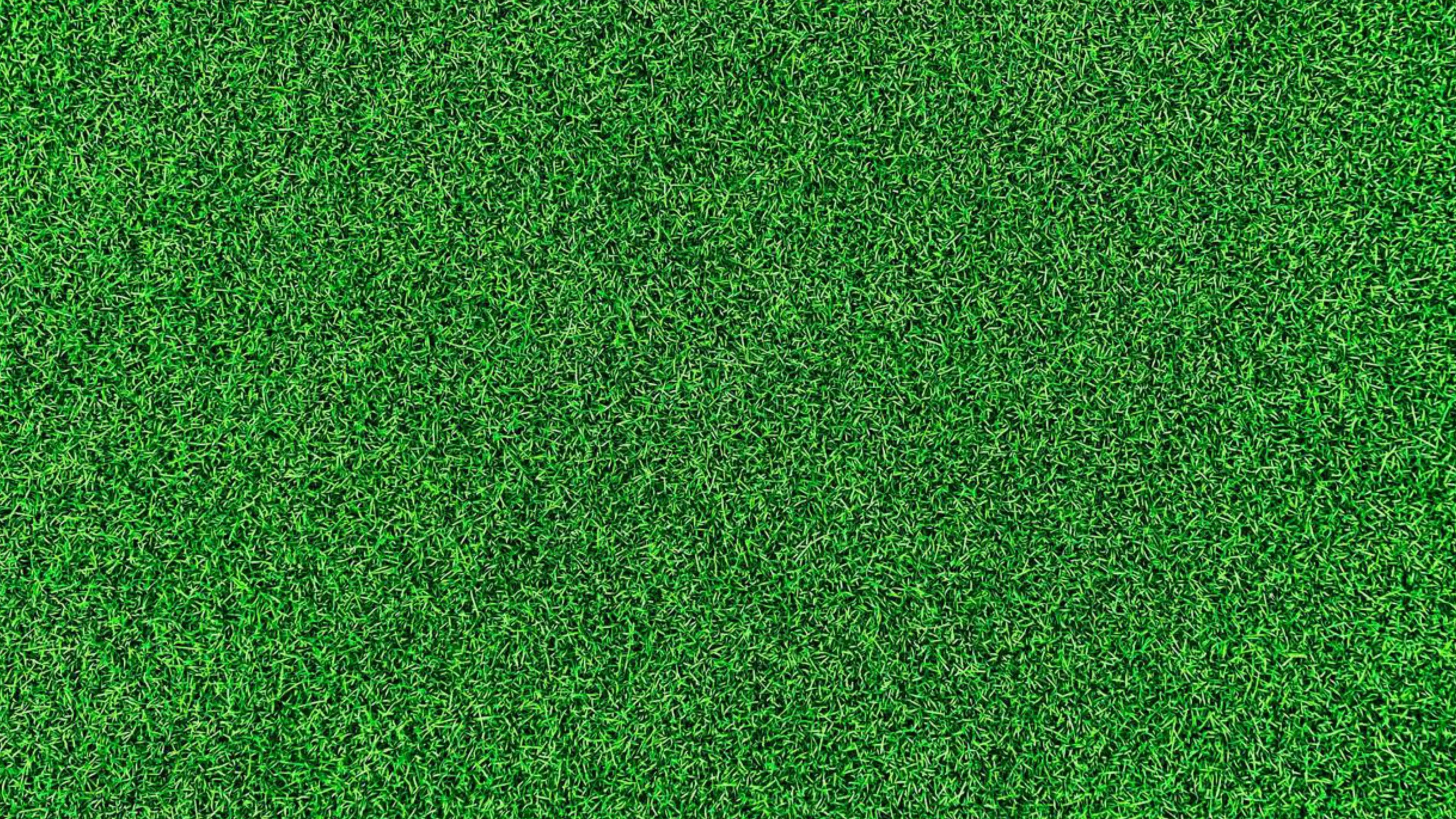 Life on the Green