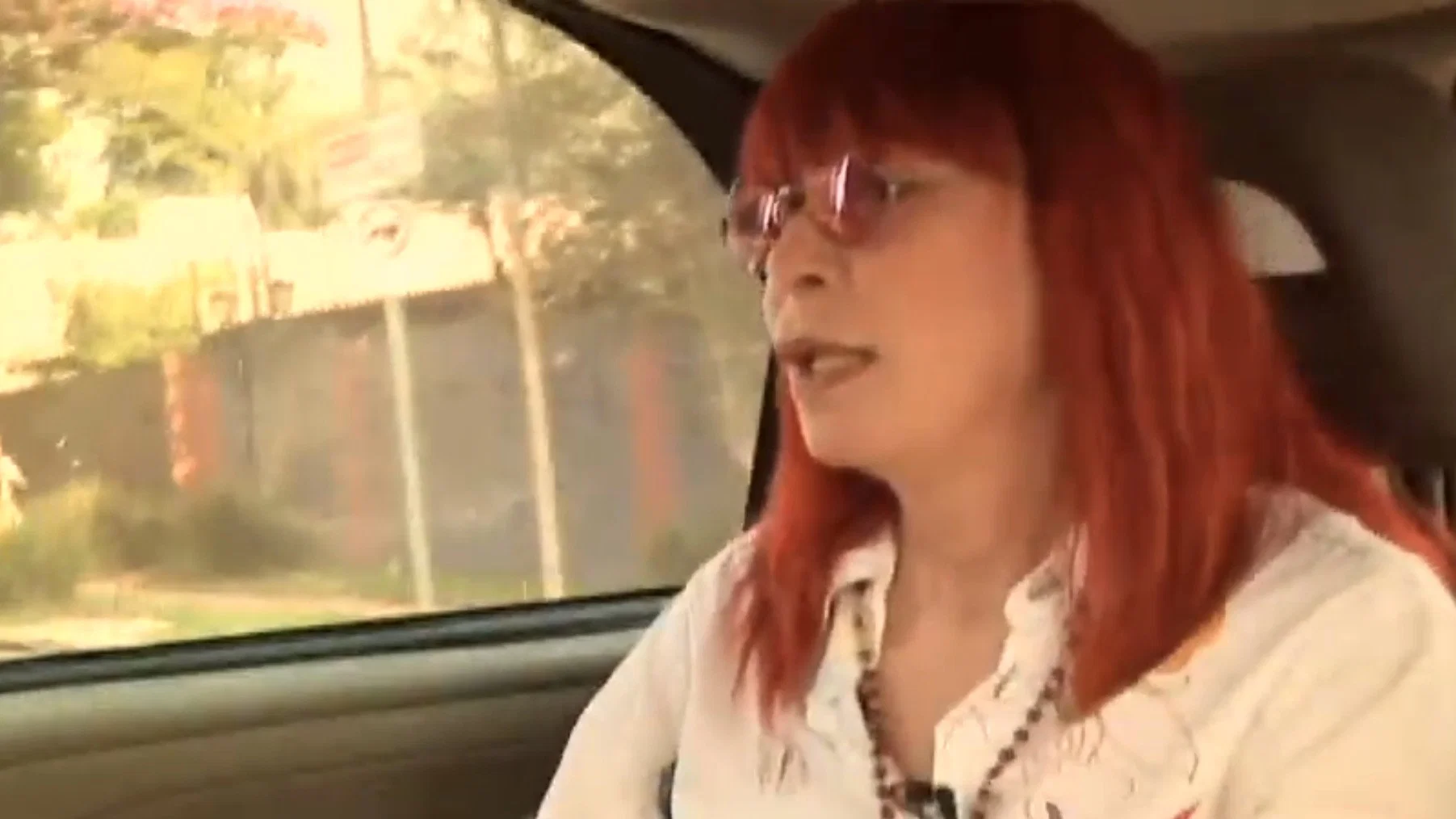 Rita Lee - Biograffiti: Ovelha Negra