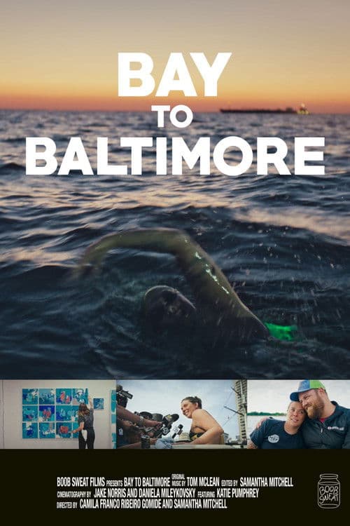 Bay to Baltimore